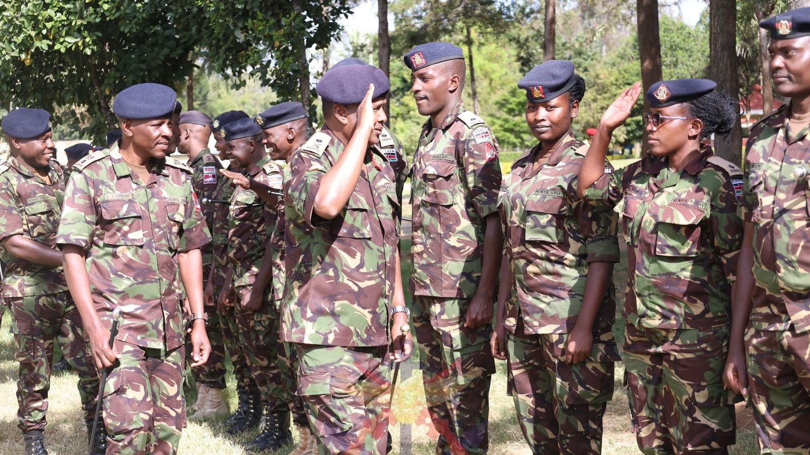 Kdf Ranks KDF Salary Guide: The Ranks, Pay and Allowances in the Kenyan Military ...